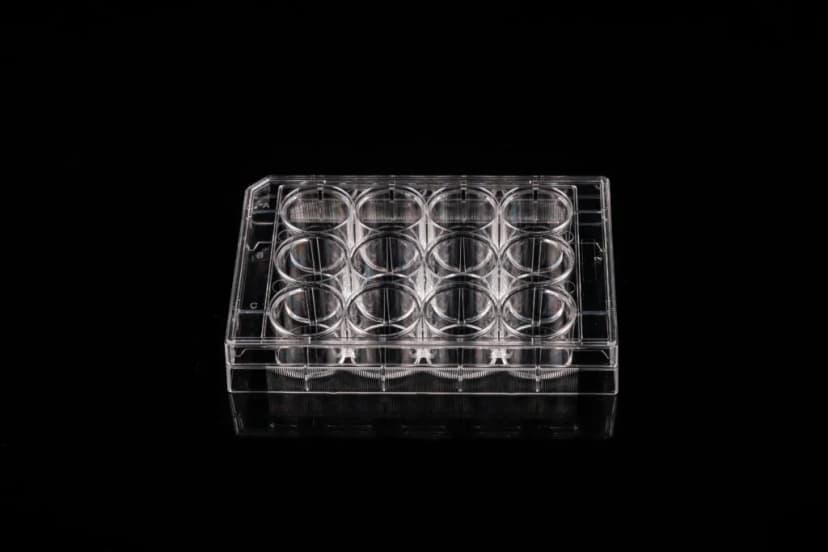12 Well Cell Culture Plate, Flat, Non-Treated, sterile 1/pk, 50/cs