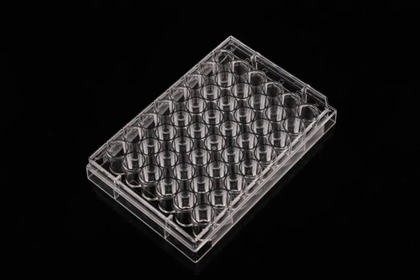 48 Well Cell Culture Plate, Flat, Non-Treated, sterile 1/pk, 50/cs