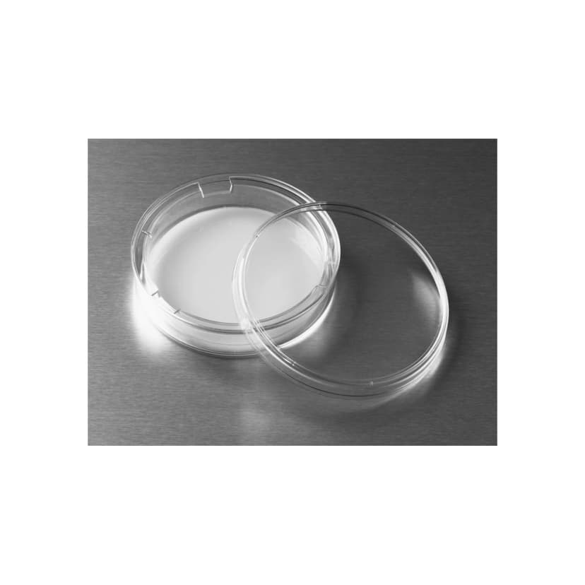 Costar Transwell 75mm,0.4um,10um Thick, Tissue Culture Treated, Polycarbonate (PC) Membrane, Sterile, 1 Pack/12 Case