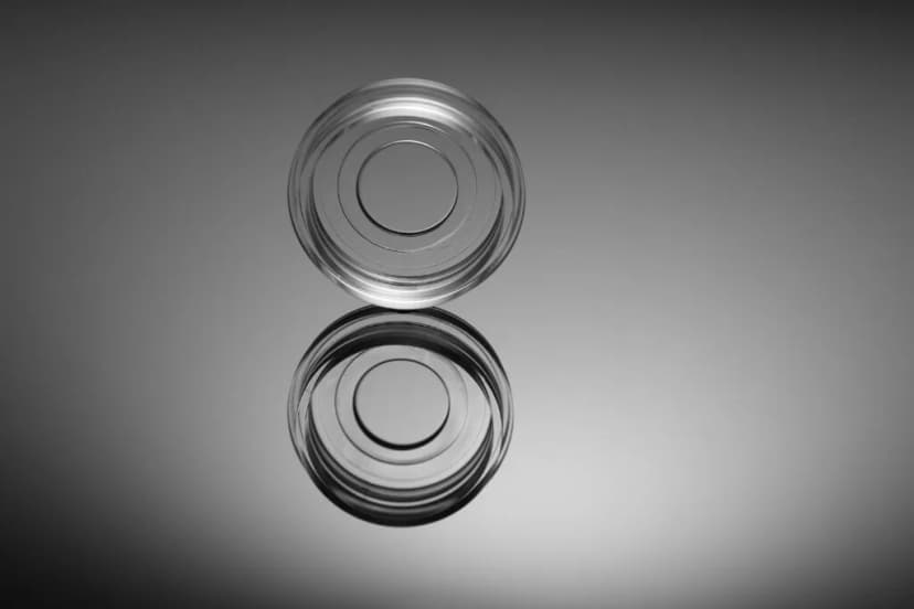 Glass Bottom Cell Culture Dish,Î¦ 15mm,TC, sterile 10/pk, 200/cs