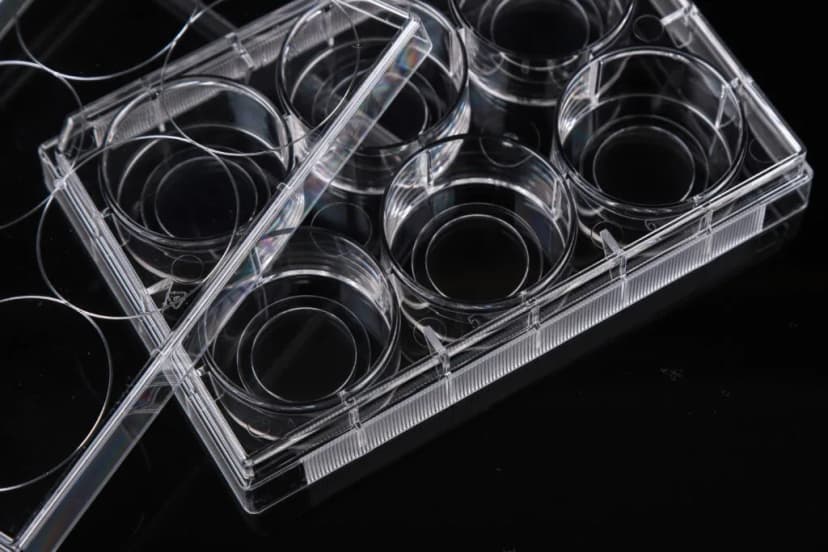 6 Well Glass Bottom Cell Culture Plate,Φ 20mm,TC, sterile 1/pk, 10/cs