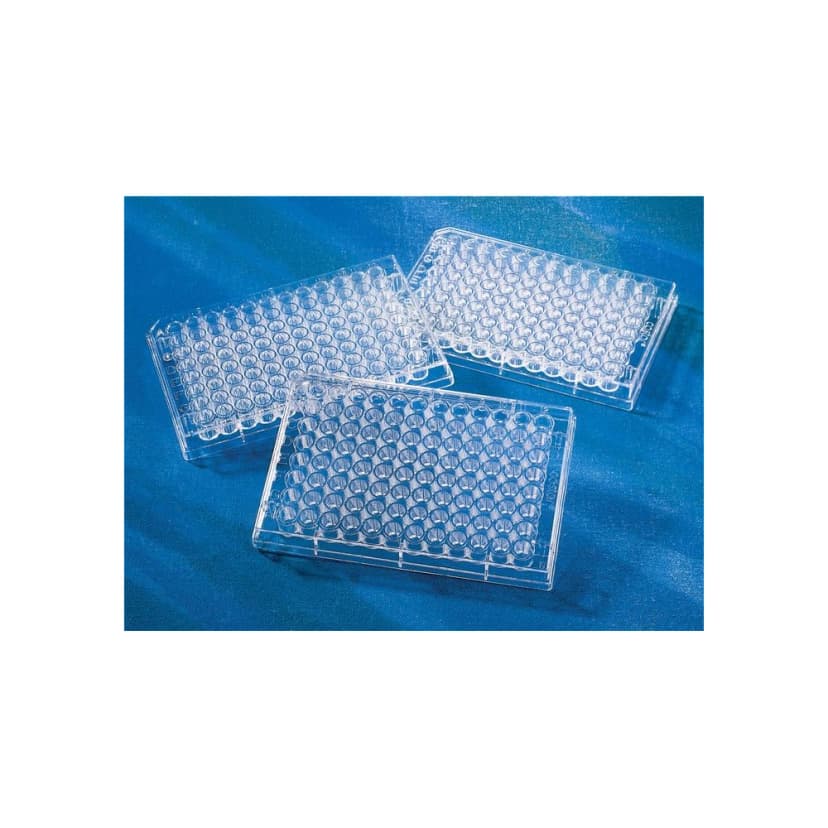 Corning 96 Well Clear Flat Bottom Polystyrene High Bind Microplate, 25 per Bag, without Lid, Nonsterile