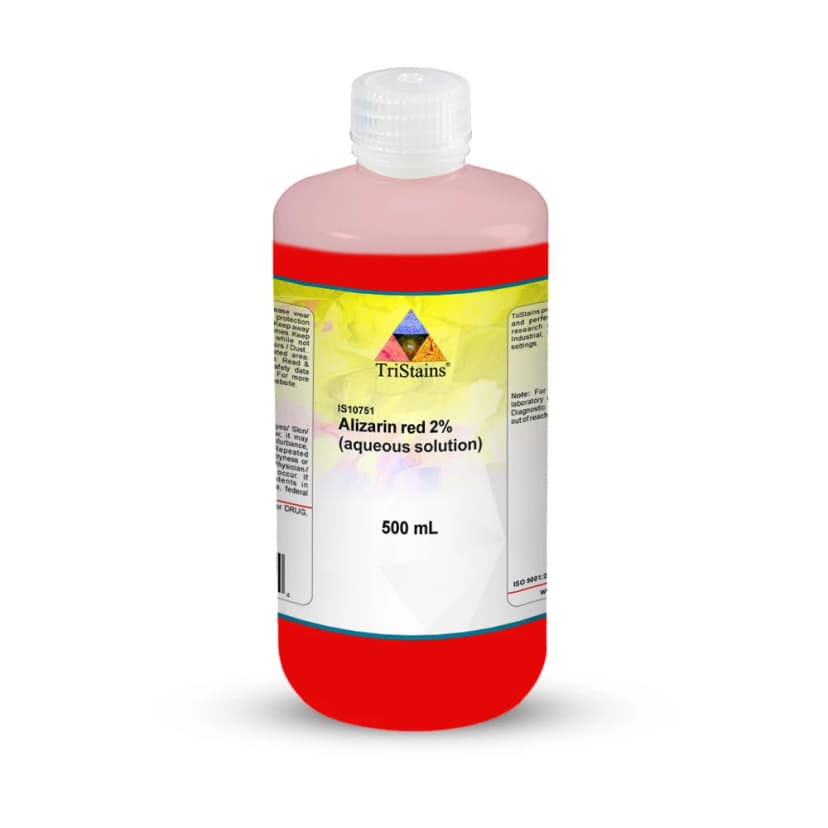 Alizarin Red 2% - 500mL