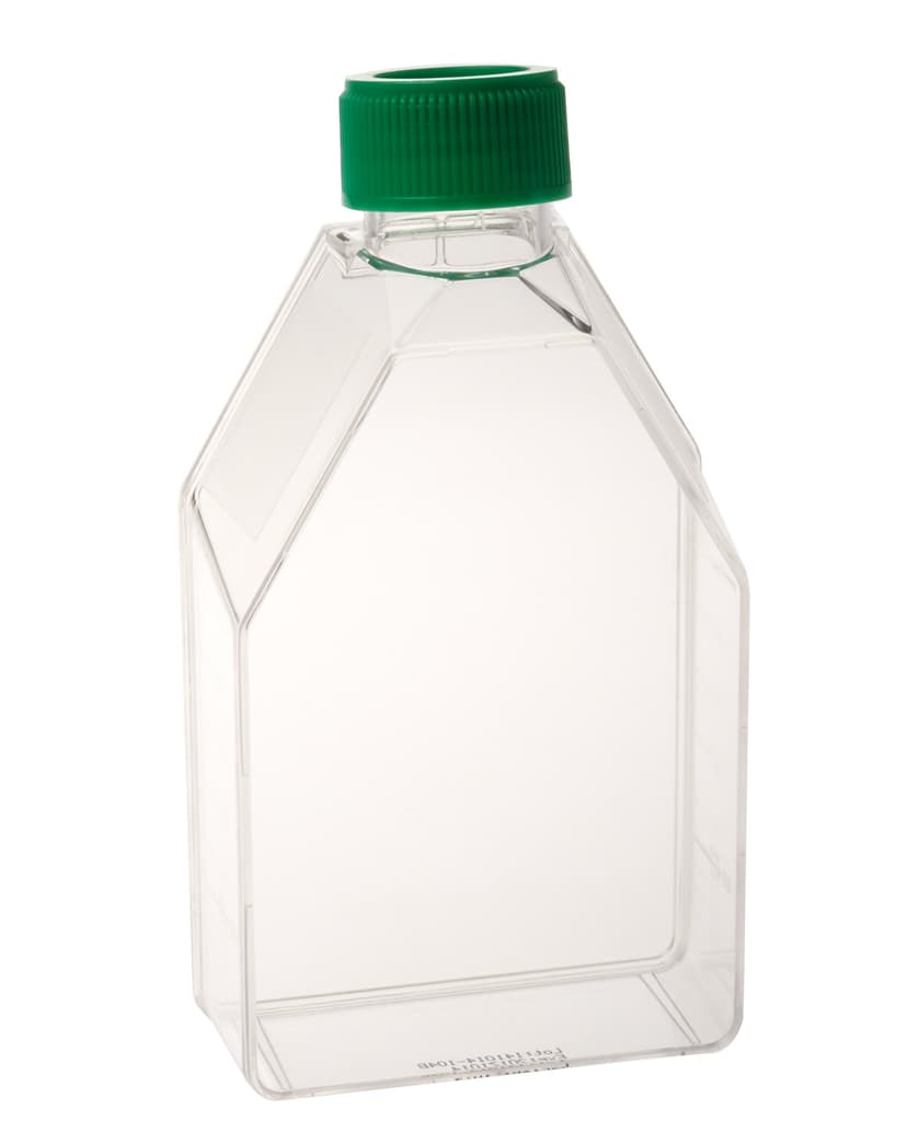 75cm2 Tissue Culture Flask  Vent Cap, Sterile