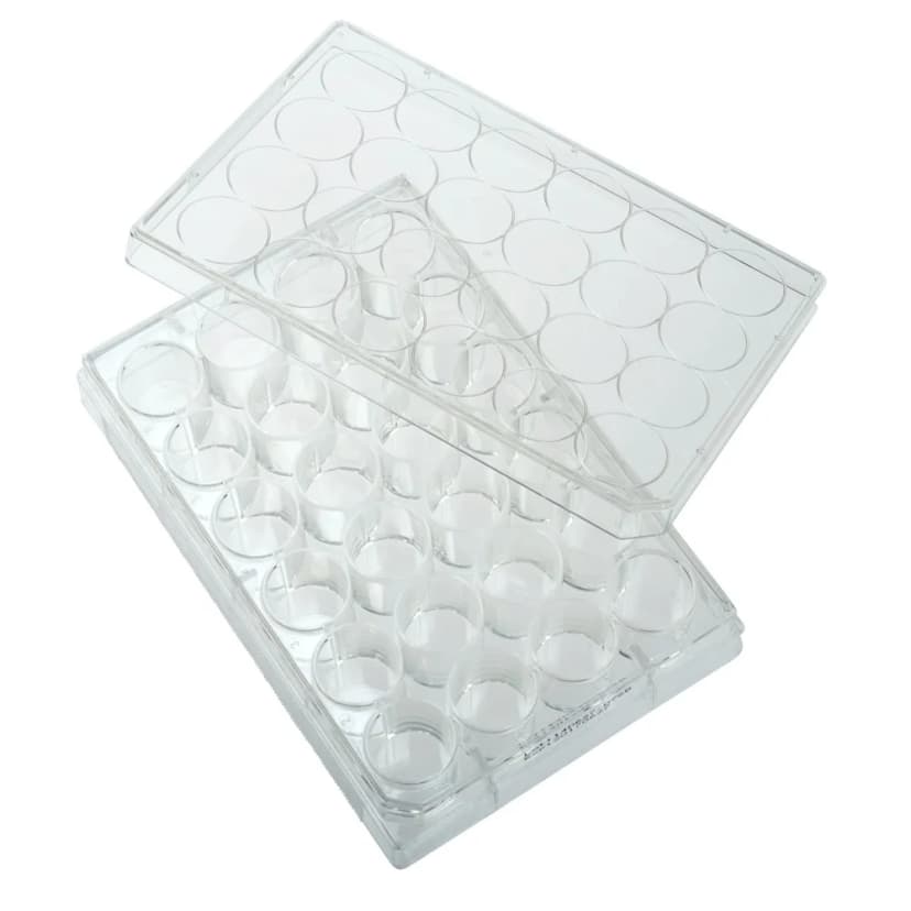 Multiple Well Plates  Non-treated