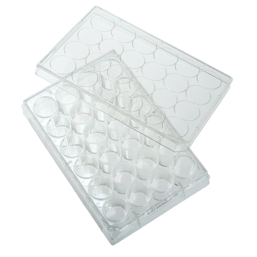 Multiple Well Plates  TCT