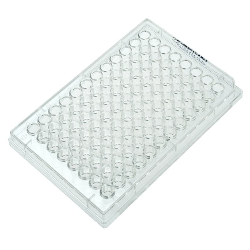 Multiple Well Plates  Non-treated