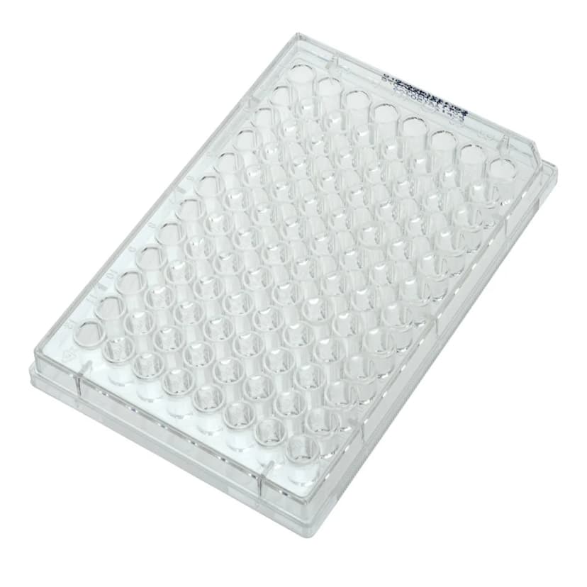 Multiple Well Plates  Non-treated