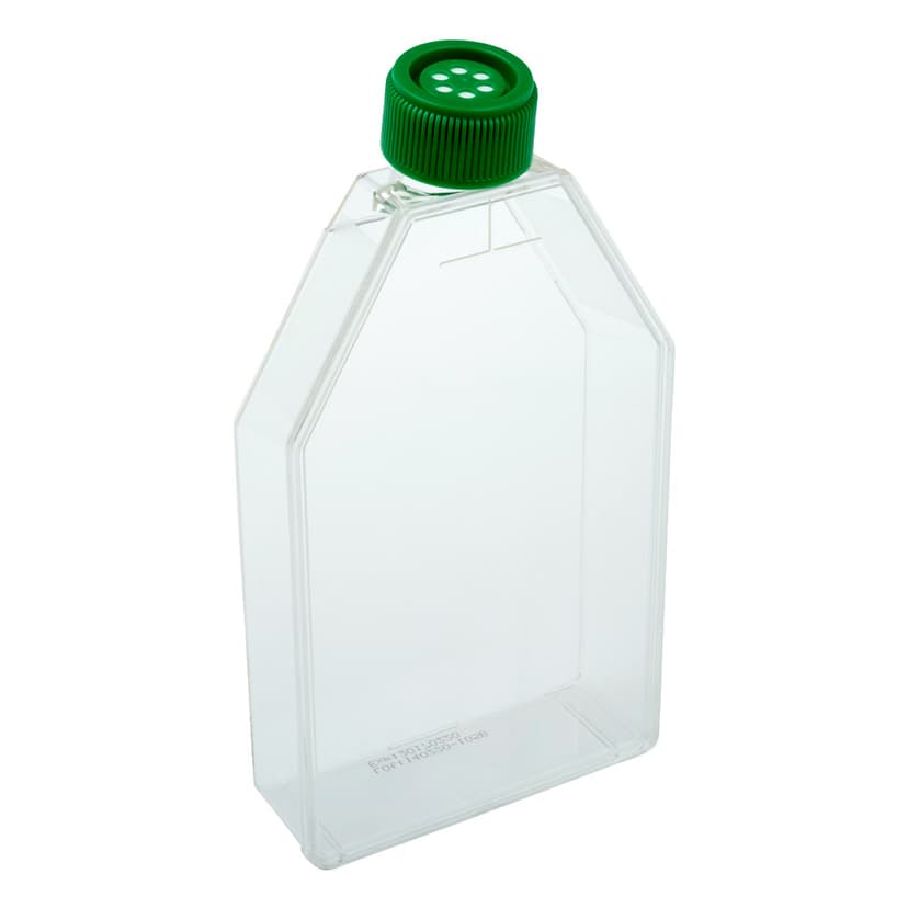 182cm2 Tissue Culture Flask  Vent Cap, Sterile