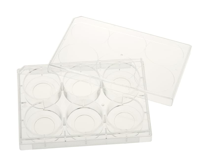 Multiple Well Plates  TCT, Glass Bottom