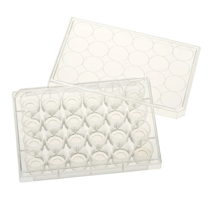 Multiple Well Plates  TCT, Glass Bottom