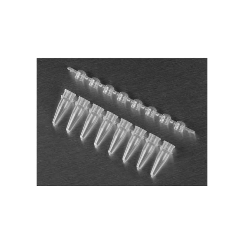 Axygen 0.2mL Polypropylene PCR Tube Strips and Domed Cap Strips, 8 Tubes/Strip, 8 Domed Caps/Strip, Clear, Nonsterile