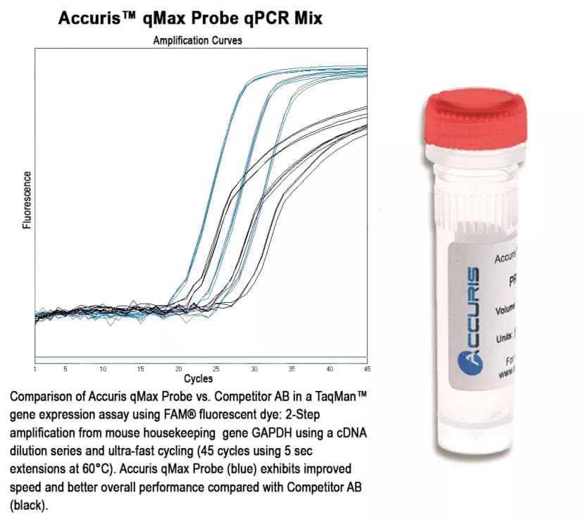 Accuris qMax Probe, High Rox qPCR Mix, 500 reactions