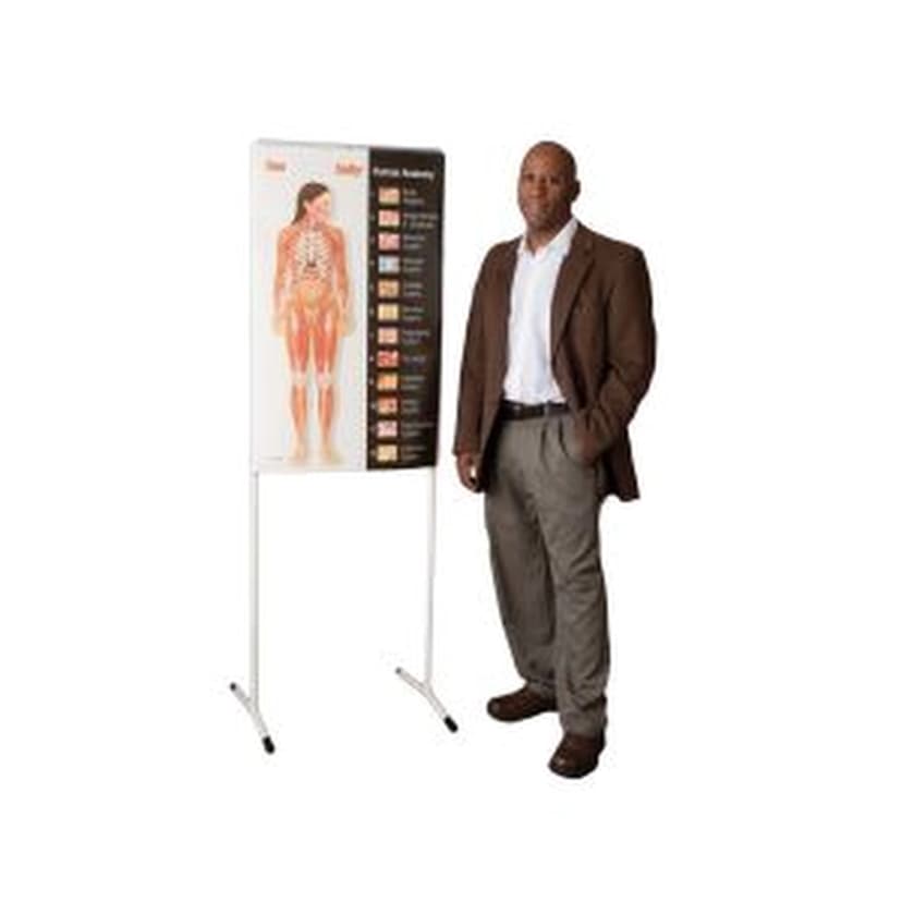 SEE-THROUGH SALLY HUMAN ANATOMY DISPLAY