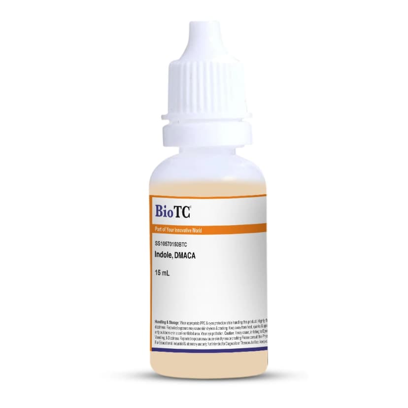 Indole, DMACA
