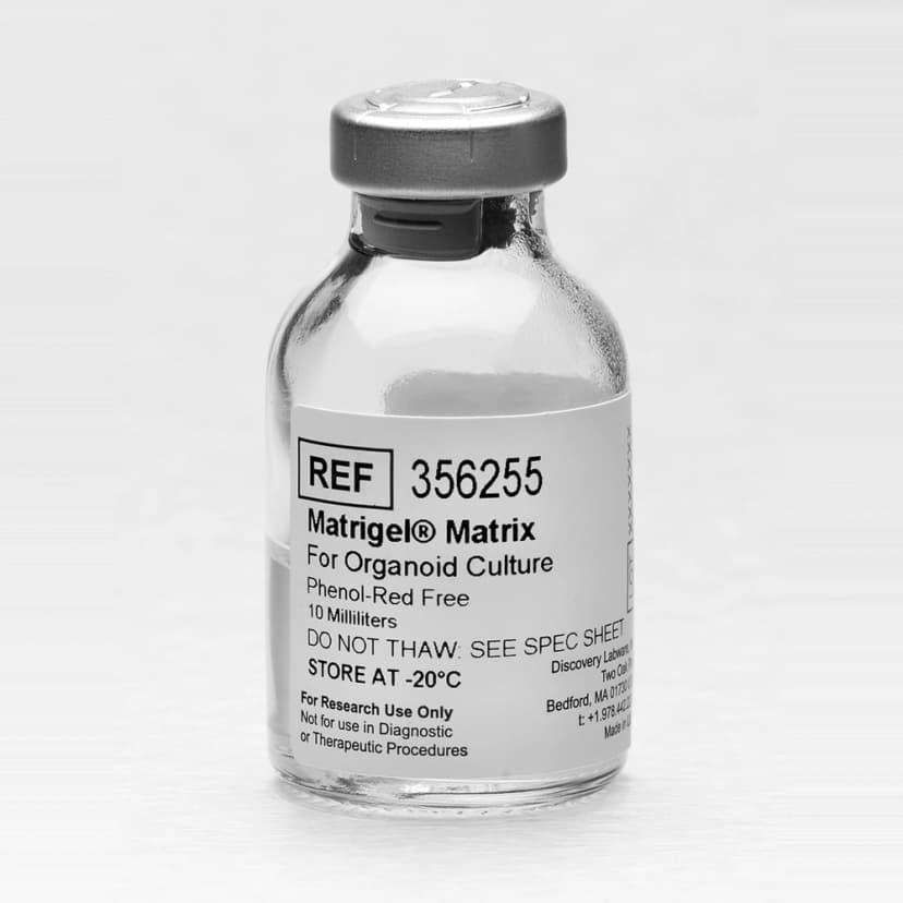 Corning Matrigel Matrix For Organoid Culture Phenol Red-Free, 10mL