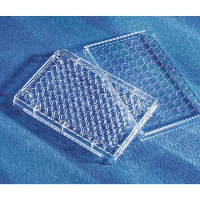 Corning 96 Well Clear Round Bottom Polypropylene Not Treated Microplate, Corner Notch, Individually Wrapped, with Lid, Sterile